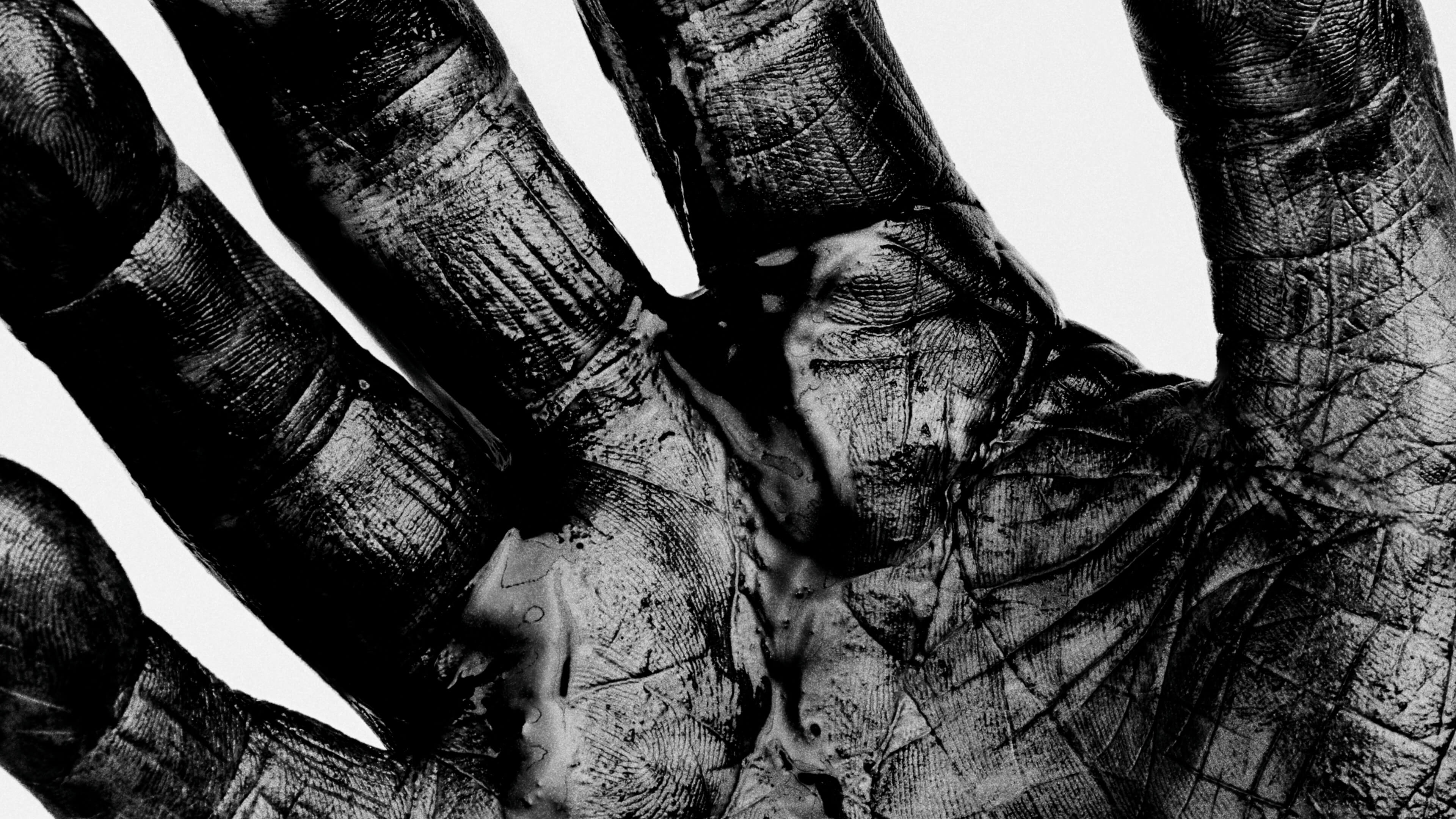 Editors Black Gold. Packaging, Art Direction, Brand Campaign and Design by Hingston Studio, London